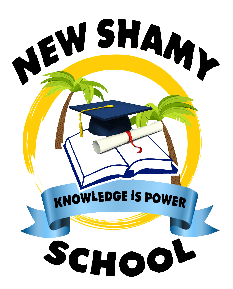         New Shamy School